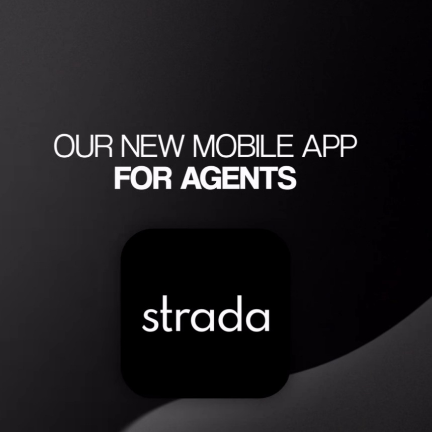 Our Website