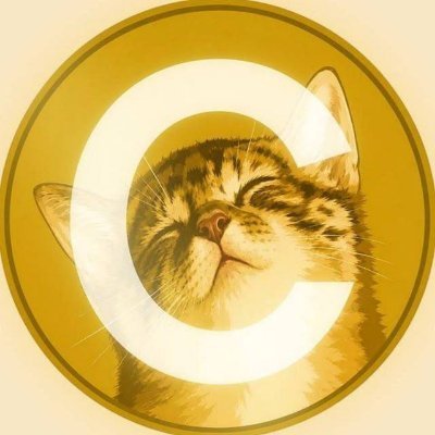 BUY CATE TODAY